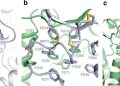 https://phys.org