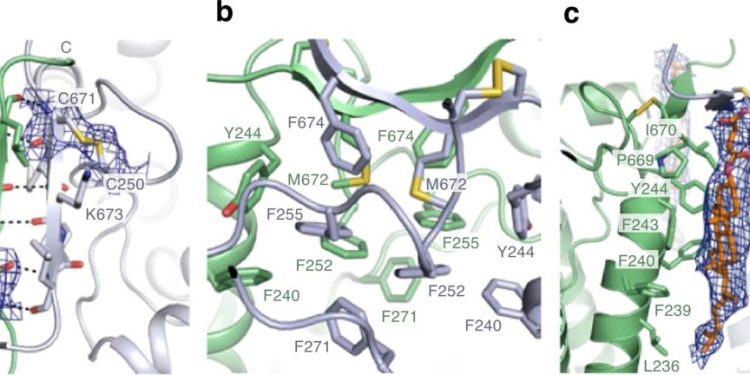 https://phys.org