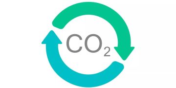 Understanding the Importance of CO2 Sensors in Potato Bulk Storage