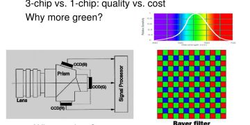 Revolutionizing Agriculture: How AI and Standard RGB Cameras Can Boost Vegetation Growth