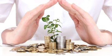 Ireland Launches €3.1 Million Investment Aid Scheme for Seed and Chipping Potato Sector