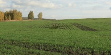 Rostec and Glonass will ensure the safety of small aircraft flights