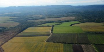 Choosing the Right Soil for Vegetable Plantations in Primorsky Krai