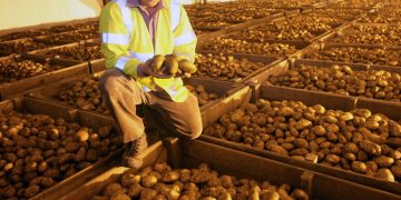 Revolutionizing Potato Storage: DMN Natural Bio-Control Set for International Regulatory Approval