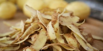 Potato Peels: A Revolutionary Solution in Processed Food Industry