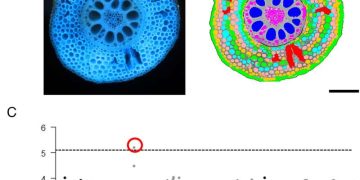 Discovery of novel gene to aid breeding of climate resilient crops