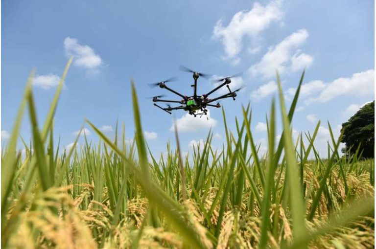 Drones y aprendizaje profundo