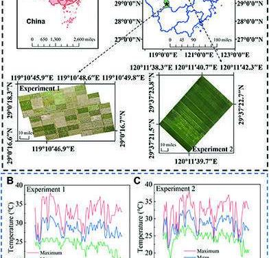 Geographical locations and related field data of study sites. (A) Location of the experimental sites 1 and 2. (B and C) The daily temperatures at sites 1 and 2, respectively. (D) Digital images of rice germplasm resources with different resistance to BB and quantifying the disease severity. Credit: Plant Phenomics (2022). DOI: 10.34133/plantphenomics.0019