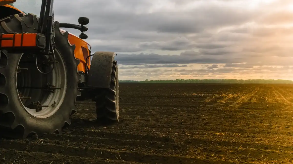“Bidh Steppe AgroHolding a’ dèanamh cuairteachadh bàrr stèidhichte air AI.”