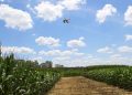 A standard RGB camera attached to a drone, combined with AI deep learning, can provide crop health color maps, a new study shows. Photo: Diane Godwin. Credit: Diane Godwin.