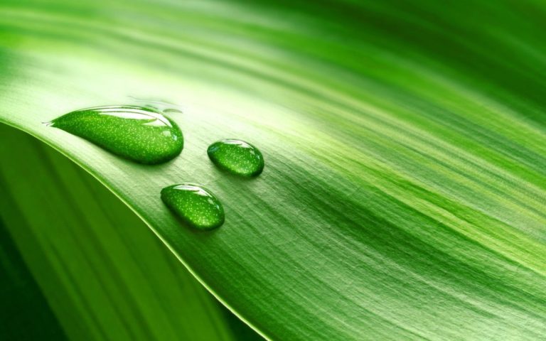 #WASTELESS: ЕС запускает новый проект по сокращению пищевых отходов 43 #WASTELESS: ЕС запускает новый проект по сокращению пищевых отходов