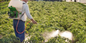 Optimal Use of Fungicides: The Key to Managing Fungicide Resistance