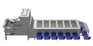 Maximizing Potato Sorting Efficiency with Newtec Celox-P UHD Technology