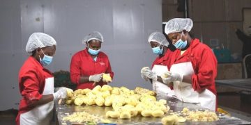Serial Entrepreneur Creates Business Opportunity in Potato Processing