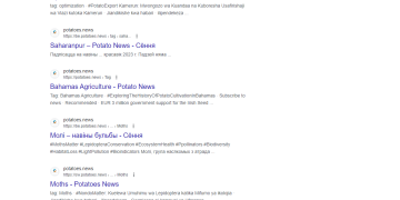 Boost Your Visibility in the Potato Business Industry for $1