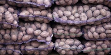 European Produce Associations call for Revised Packaging Regulations to Support Sustainable Agriculture