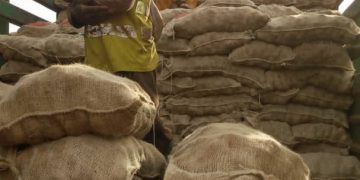 #PotatoExportCameroon: A Guide to Organizing and Optimizing Potato Exports from Cameroon