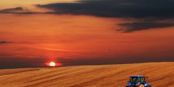 Weather Challenges and Weed Control Efforts Impact British Potato Growers