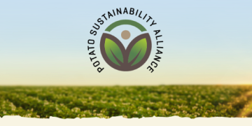 Potato Sustainability: Building a Stronger Production System