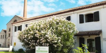 “Domenico Citterio & C. S.r.l.: Leading the Way in Seed Potato Trade with Optimal Distribution”