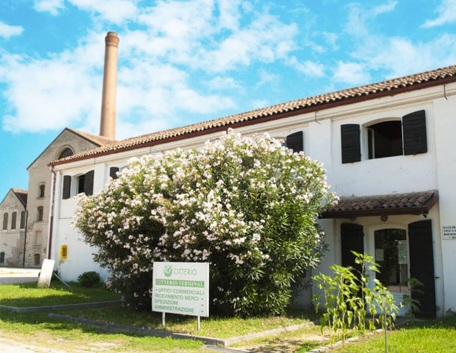 “Domenico Citterio & C. S.r.l.: Leading the Way in Seed Potato Trade with Optimal Distribution”