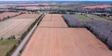 PEI Potato Board Doubles Acreage for Cover Crops to Optimize Potato Production