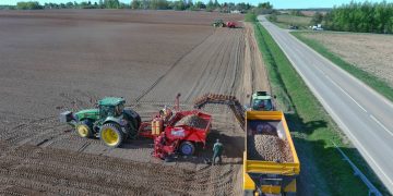 Leading Enterprise in Moscow Region Successfully Completes Potato Planting in Bunyatino Village and Yakhromskaya Floodplain