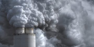 The Threat of Dutch Nitrogen Rules to French Fry Production: A Wake-Up Call for Agricultural Sustainability