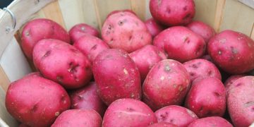 RedPotatoes: The Perfect Addition to Your Kitchen