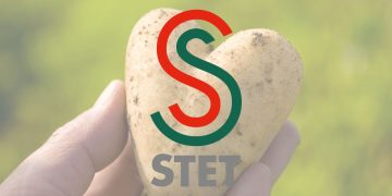 “STET: Pioneering Potato Varieties for Global Delight | #STET #PotatoCompany #PotatoVarieties”