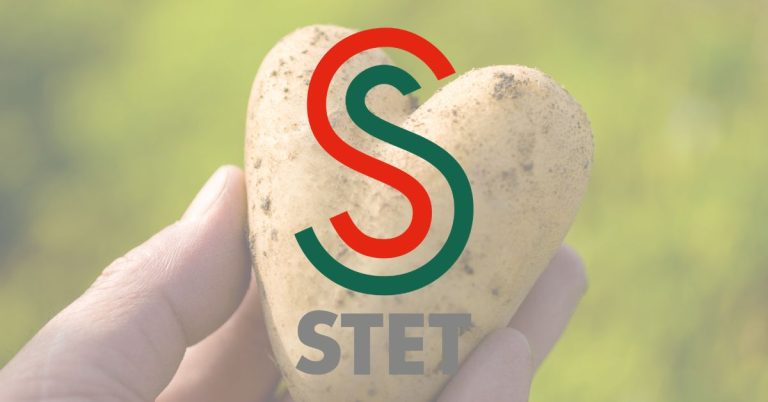 "STET: Pioneering Potato Varieties for Global Delight | #STET #PotatoCompany #PotatoVarieties" 49 “STET: Pioneering Potato Varieties for Global Delight | #STET #PotatoCompany #PotatoVarieties”