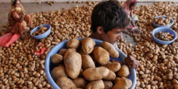 South Africa’s Fresh Produce Industry Faces Challenges Amidst Global Unrest and Climate Issues