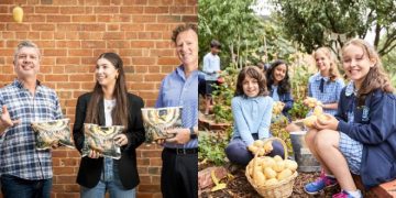 MITOLO FAMILY FARMS DEVELOPS SUSTAINABLE PAPER PACKAGING FOR FRESH POTATOES