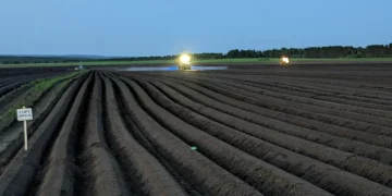 Making Informed Decisions: To Spray or Not to Spray? Optimizing Agricultural Practices for Sustainable Crop Protection