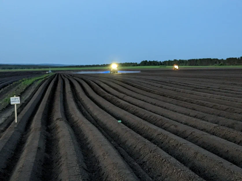 Making Informed Decisions: To Spray or Not to Spray? Optimizing Agricultural Practices for Sustainable Crop Protection