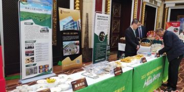 Optimizing the Transformation and Upgrading of China’s Potato Industry: Insights from Shanxi Experts