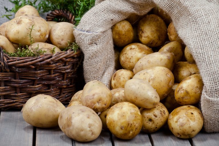 UK Packing Potato Costs Soar, Impacting Retailers' Demand 23 UK Packing Potato Costs Soar, Impacting Retailers’ Demand