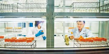Optimizing Agricultural Innovation: Development of Germplasm Creation Center in Southwest China