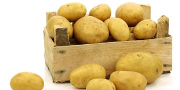Washington’s Potato Growers Fight for Wider Access to the Japanese Market
