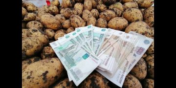 USDA Approves $19.6 Million Investment for Idaho Potato Packaging Facility, Boosting Agricultural Markets