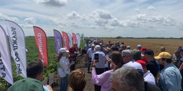 Finding Profitability Recipe in Potato Farming: A Day at the Vegetable Field of N.N. Yuzefov’s Farm