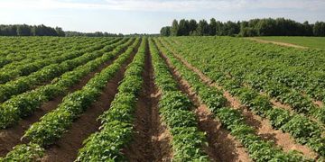 Major Achievements of CPRI