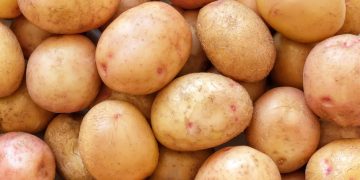 Optimizing Early Potato Crop Yields in the Mediterranean: Implications for Northern Europe