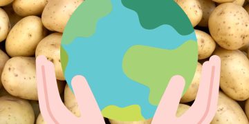 Call for Contributions: Sharing Insights on Potato Cultivation and Processing Worldwide