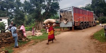Empowering Farmers Through SFLF Collective Action Farming: Accessing High-Quality Seeds for Small and Marginal Farmers