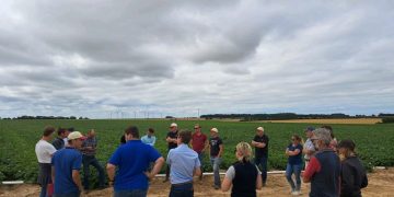 Exploring Microirrigation Techniques for Potato Cultivation: A Field Visit in Côte d’Opale, France