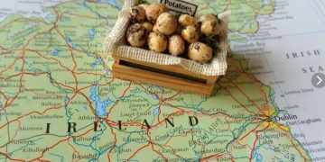 Exploring the Surge in Potato Prices: Implications for Irish Farmers and the Agricultural Industry