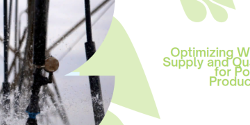 Optimizing Water Supply and Quality for Potato Production