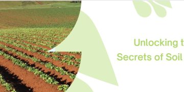 Unlocking the Secrets of Soil pH: Optimizing Nutrient Availability for Sustainable Farming