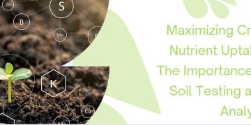 Maximizing Crop Nutrient Uptake: The Importance of Soil Testing and Analysis